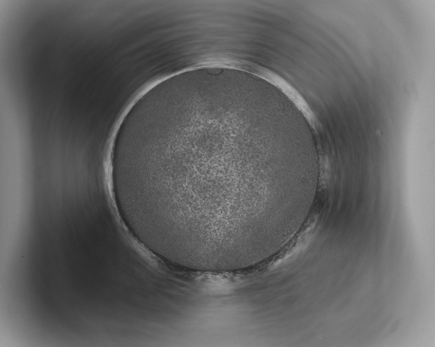 X0000101450955200807211310