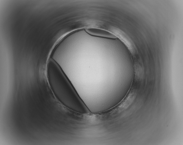 X0000101450956200807211310