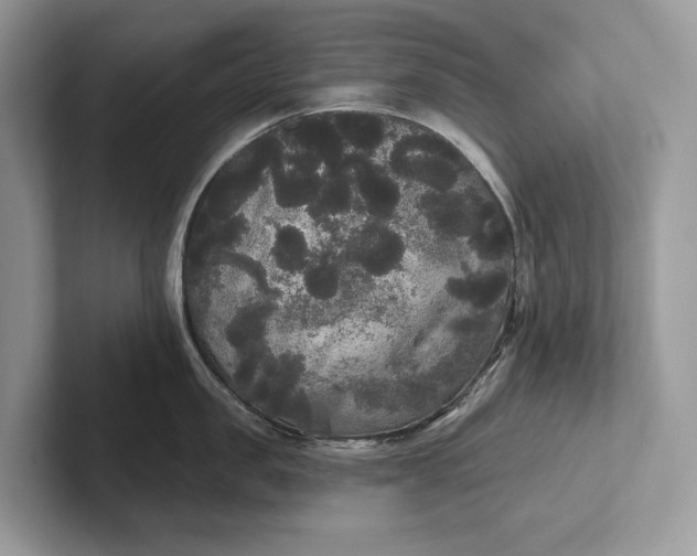 X0000101450957200807211310