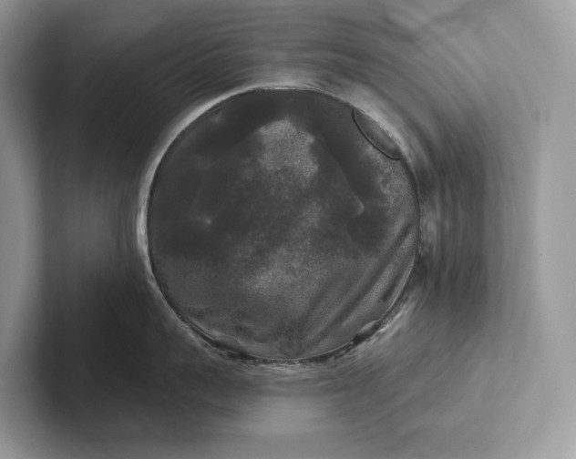 X0000101450959200807211310