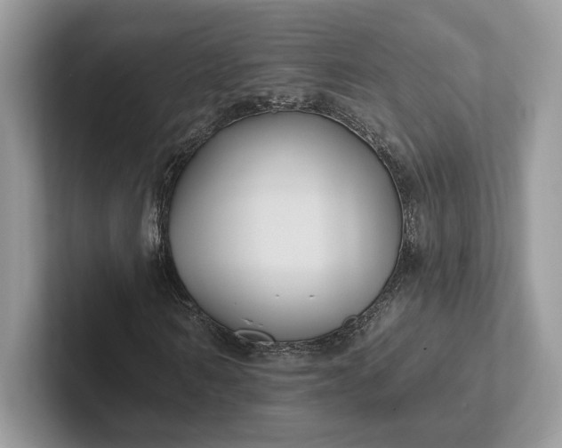 X0000101450962200807211309