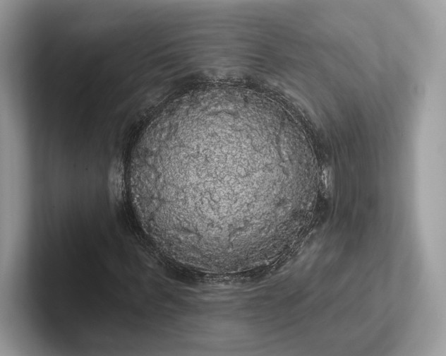 X0000101450963200807211309