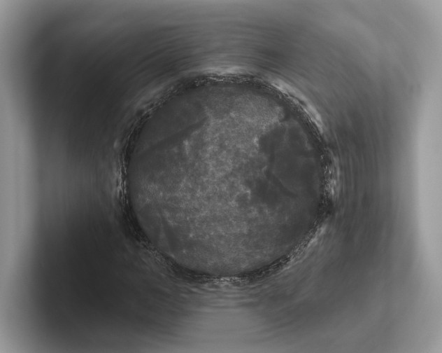 X0000101450966200807211309