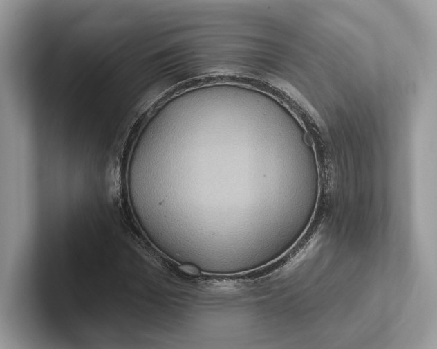 X0000101450969200807211309