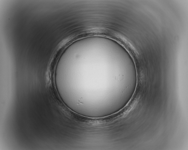 X0000101450970200807211309