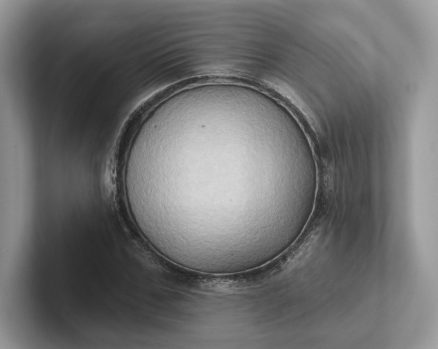 X0000101450971200807211309