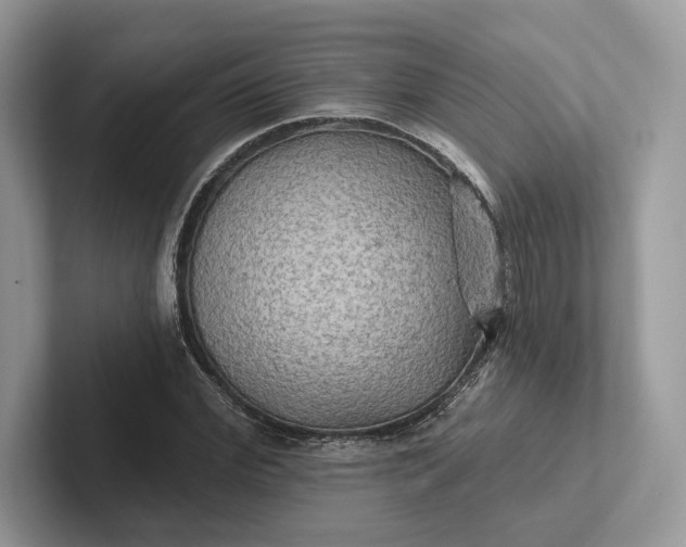 X0000101450972200807211309