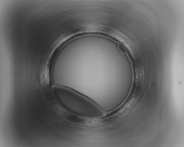 X0000101450973200807211309