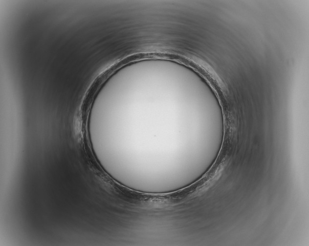 X0000101450974200807211309