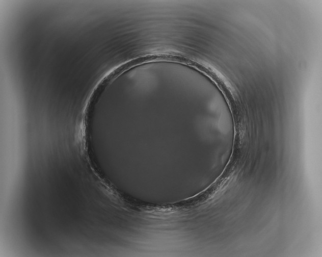 X0000101450975200807211309