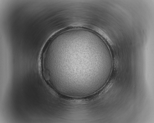 X0000101450976200807211309