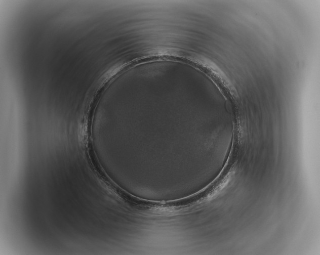 X0000101450977200807211309