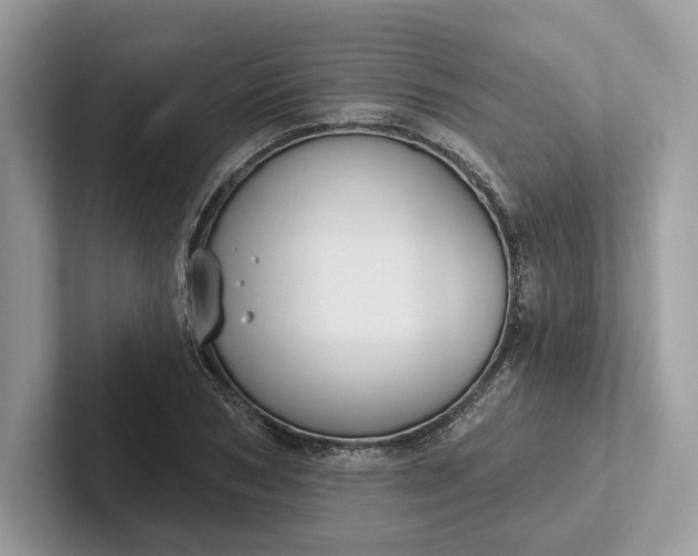 X0000101450978200807211309