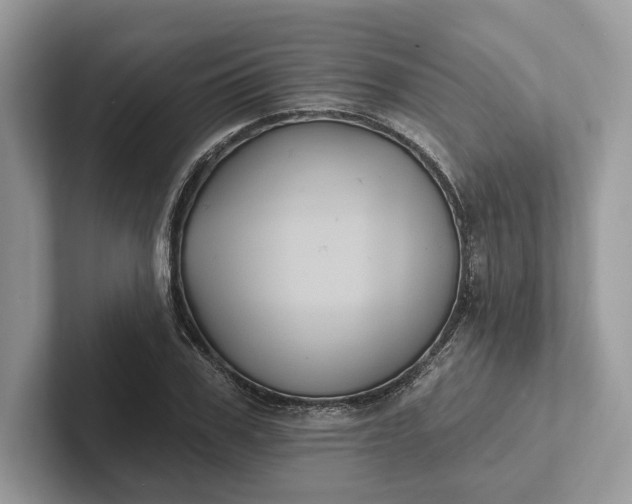 X0000101450979200807211309