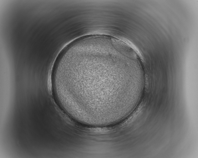 X0000101450980200807211309