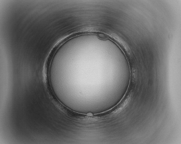 X0000101450981200807211309