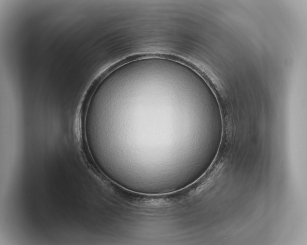 X0000101450982200807211309