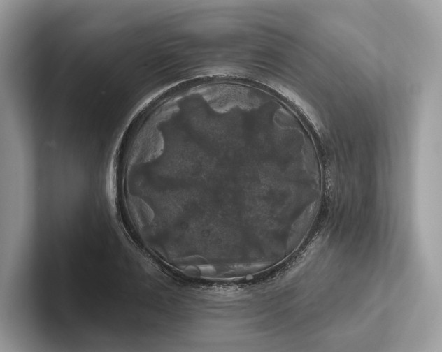 X0000101450983200807211309