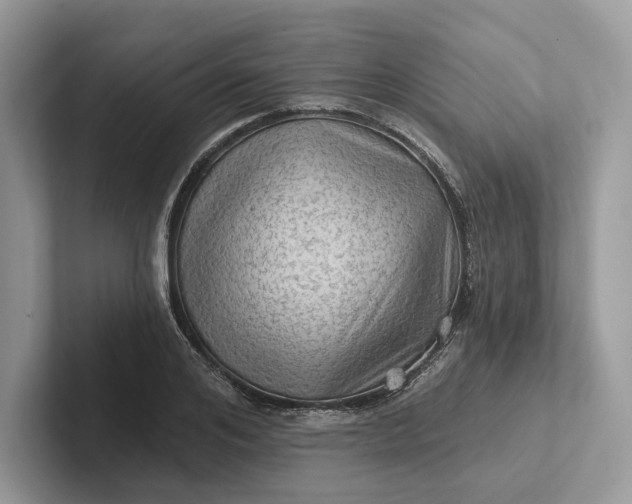 X0000101450984200807211309