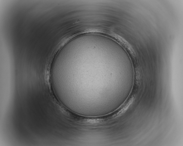 X0000101450985200807211309