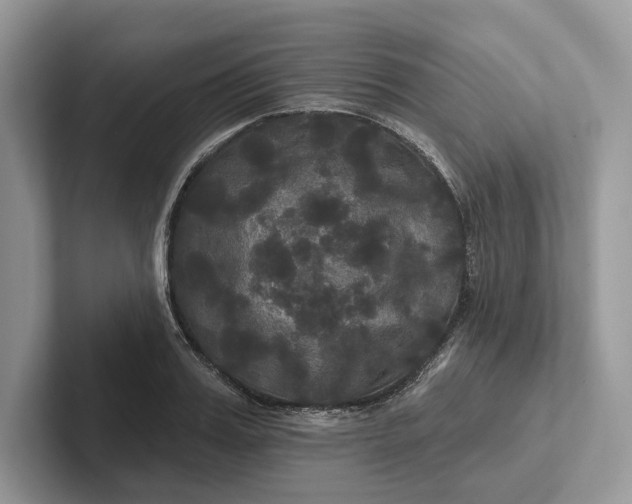 X0000101450987200807211309