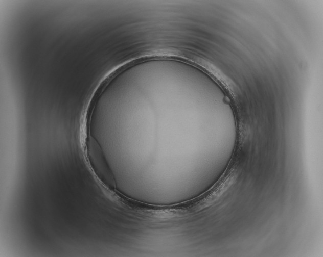 X0000101450988200807211309