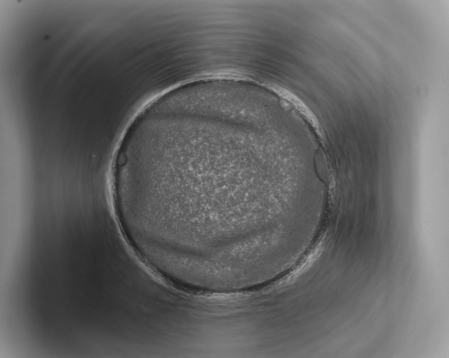 X0000101450989200807211309