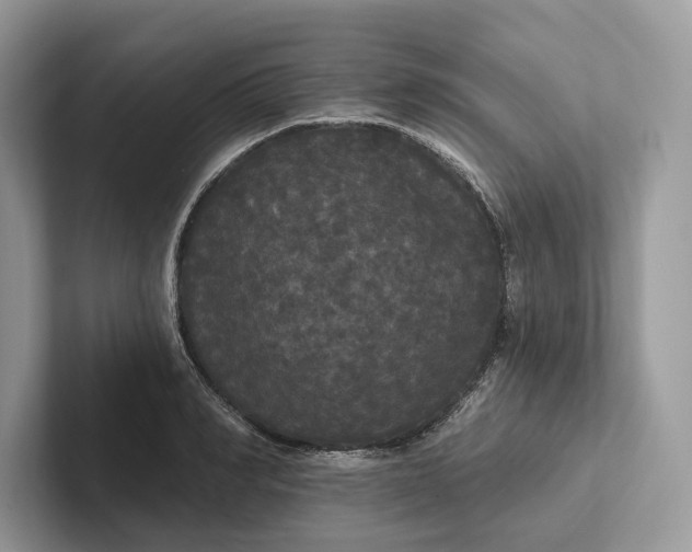 X0000101450990200807211309