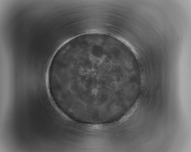 X0000101450991200807211309