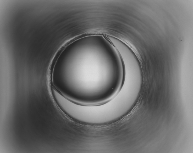 X0000101450992200807211309