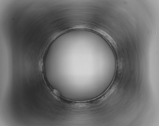 X0000101450993200807211309