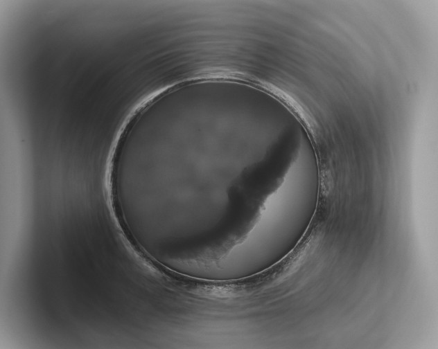 X0000101450995200807211309