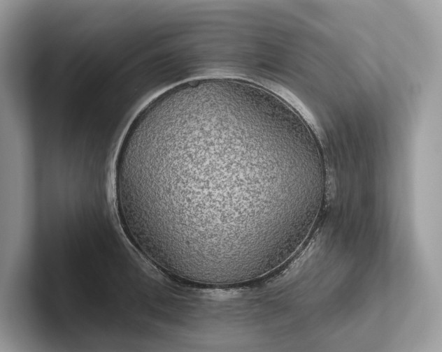 X0000101450996200807211309