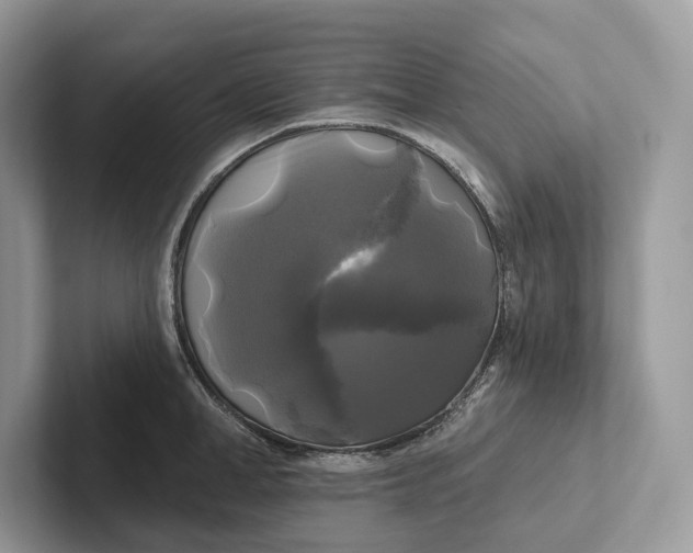 X0000101450998200807211309