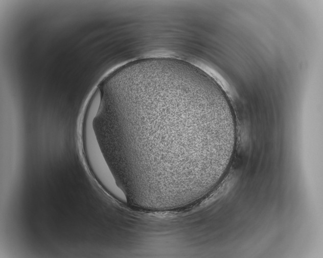 X0000101451000200807211309