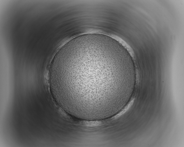 X0000101451001200807211309