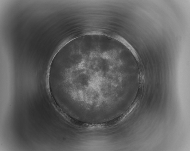 X0000101451002200807211309