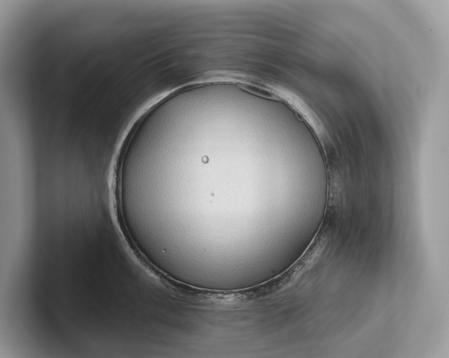 X0000101451003200807211309