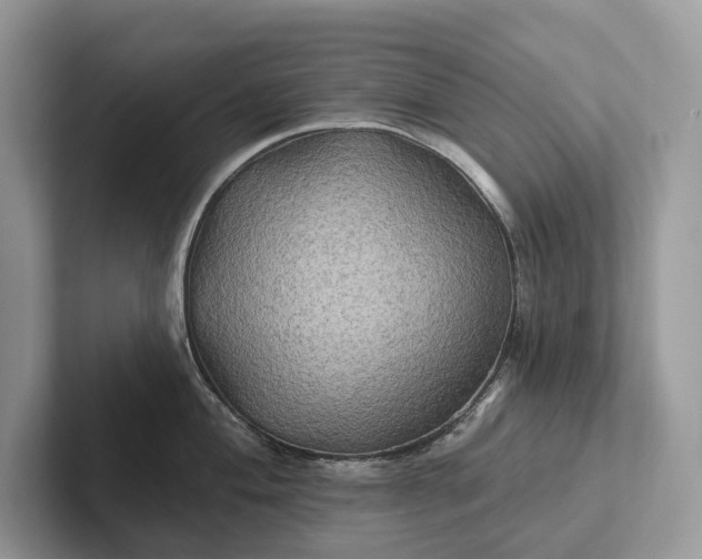 X0000101451004200807211309