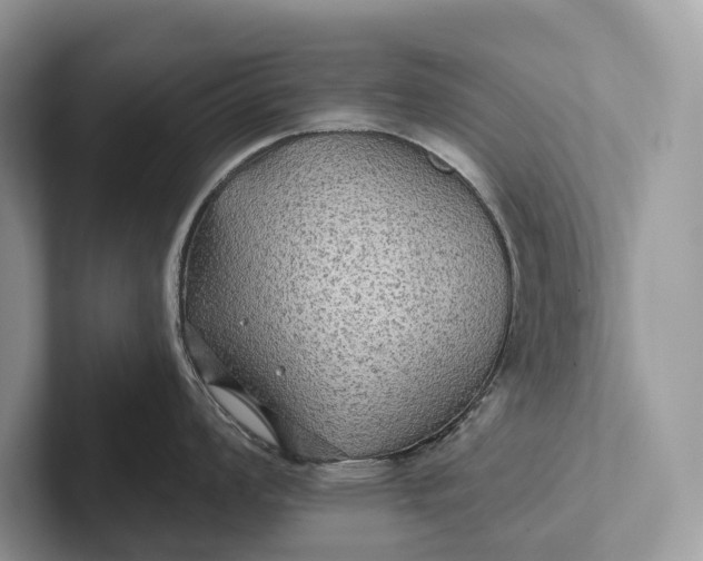 X0000101451008200807211309