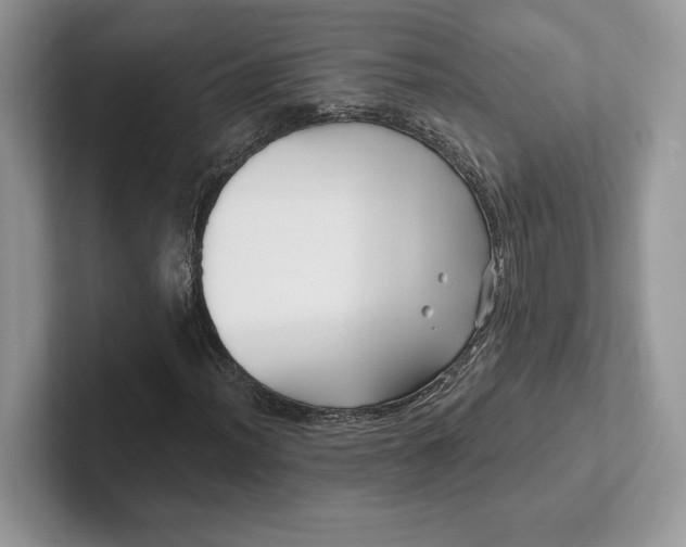 X0000101451012200807211308