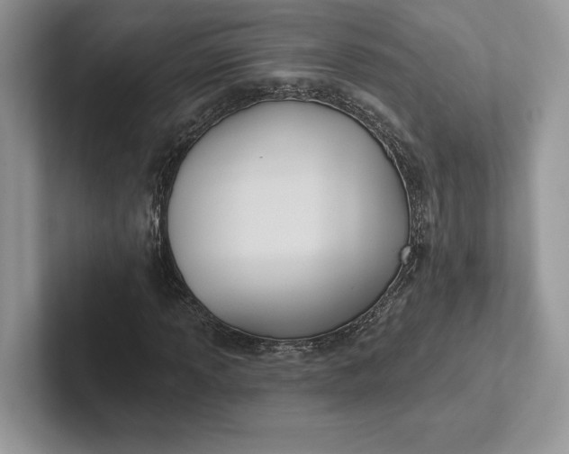 X0000101451013200807211308