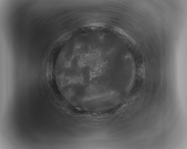 X0000101451014200807211308