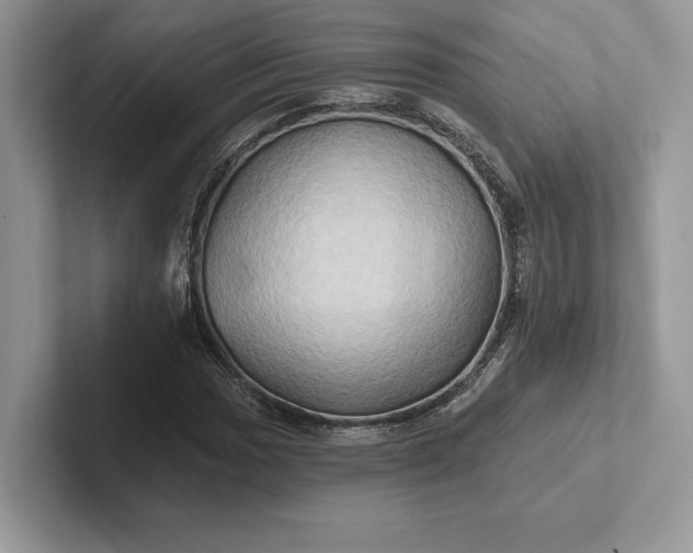 X0000101451017200807211308