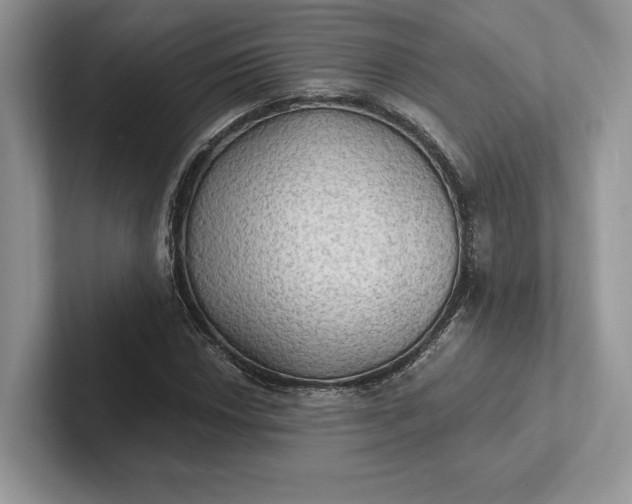 X0000101451018200807211308