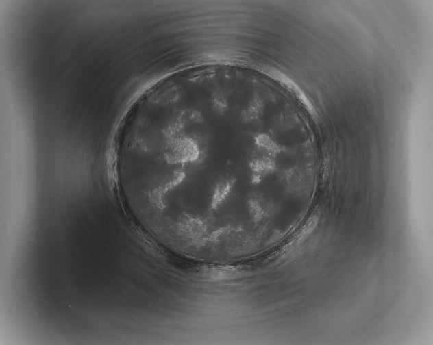 X0000101451019200807211308