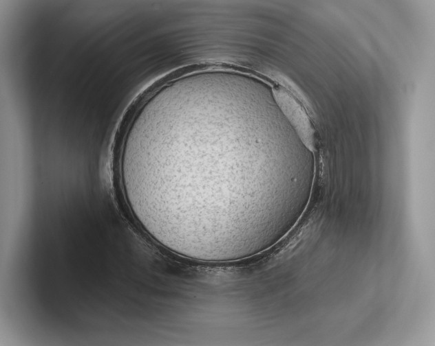 X0000101451020200807211308