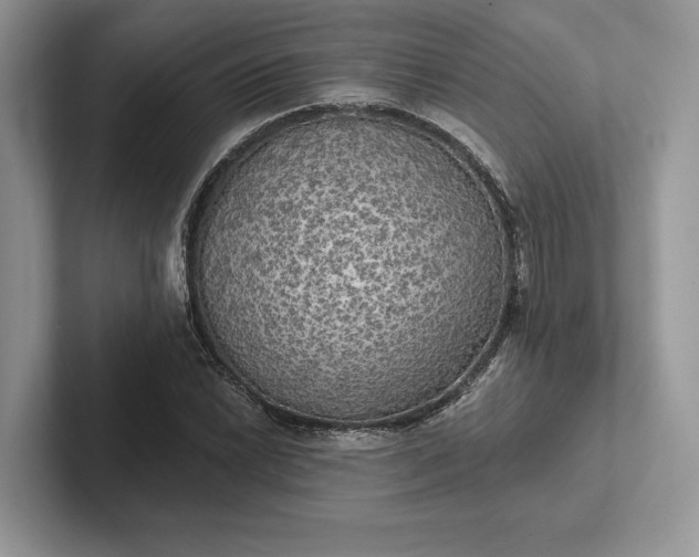 X0000101451022200807211308