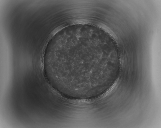 X0000101451025200807211308