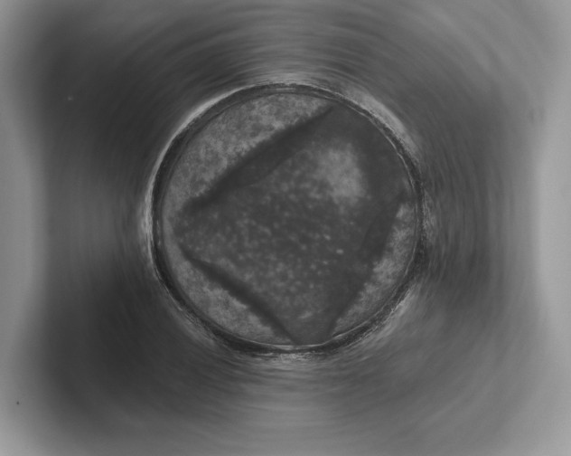 X0000101451028200807211308